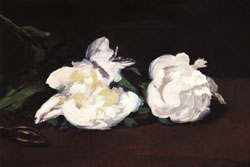 Branch of White Peonies and Shears